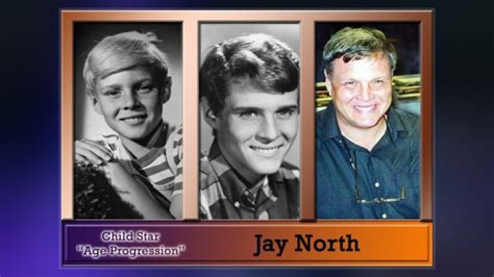All About Jay North | Net Worth, Relationship, Career