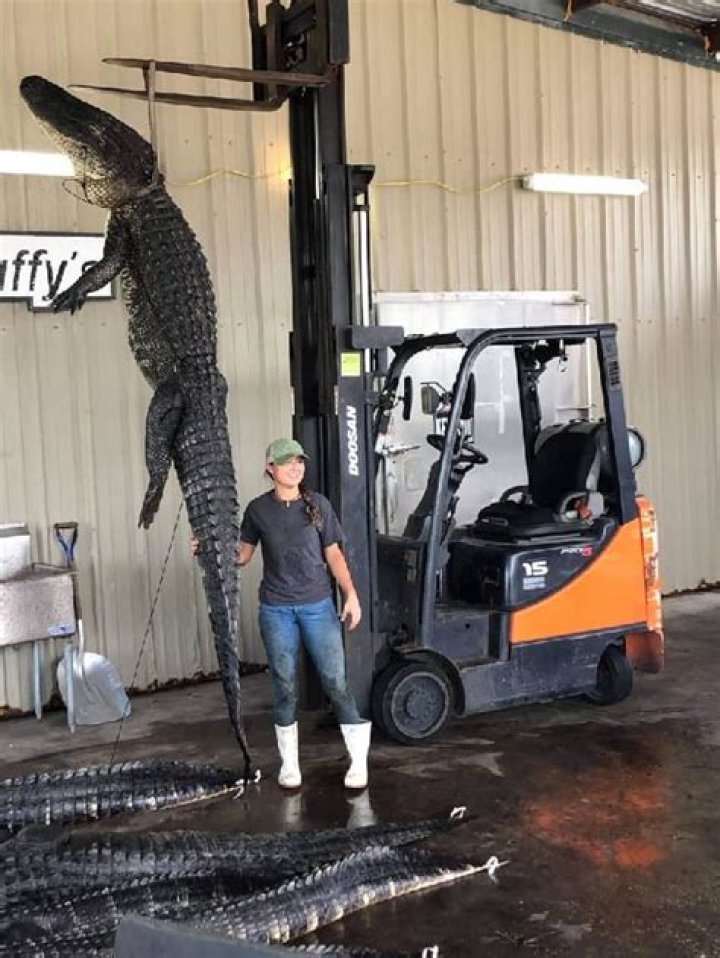 Spider Loc Height, Weight, Net Worth, Age, Birthday, Wikipedia, Who, Nationality, Biography