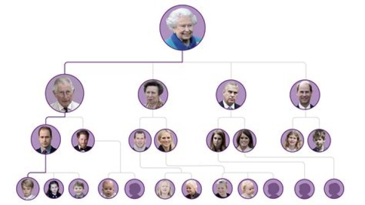 Trace Mcsorley | Related To Marty Mcsorley? Brother- Family Tree