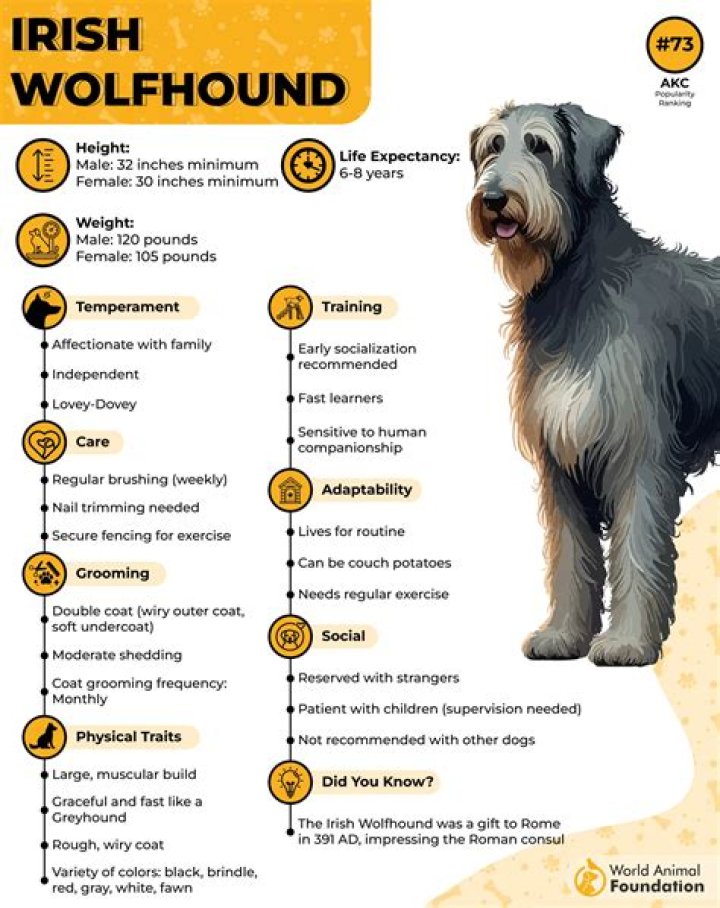 Trish Feaster Facts, Age, Birthday, Wikipedia, Who, Nationality, Biography