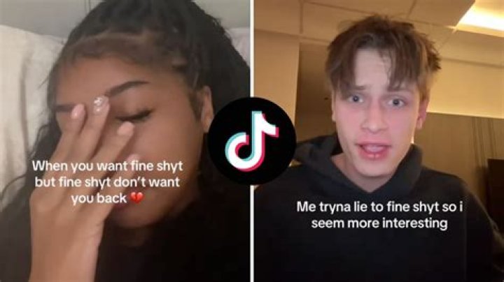 What Is Scriptdom Meaning On TikTok?
