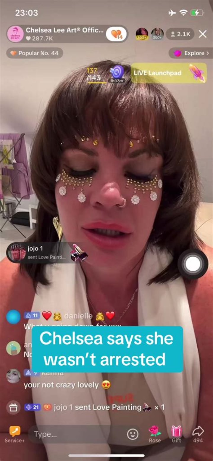 Who Is Chelsealeeart On TikTok? Chelsea Lee Art Hairbrush Net Worth